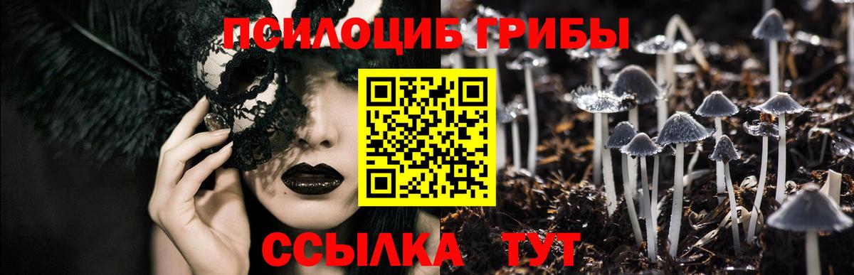 Мариинск  Псилоцибиновые грибы мицелий  Вход с VPN 